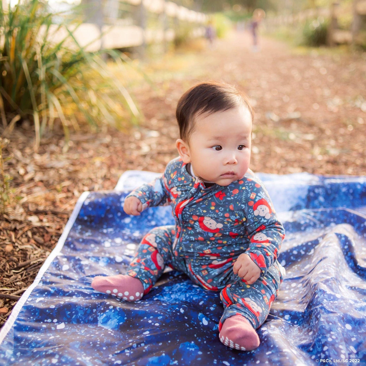 Bamboo Bootysuit | Paddington Baby (Long)
