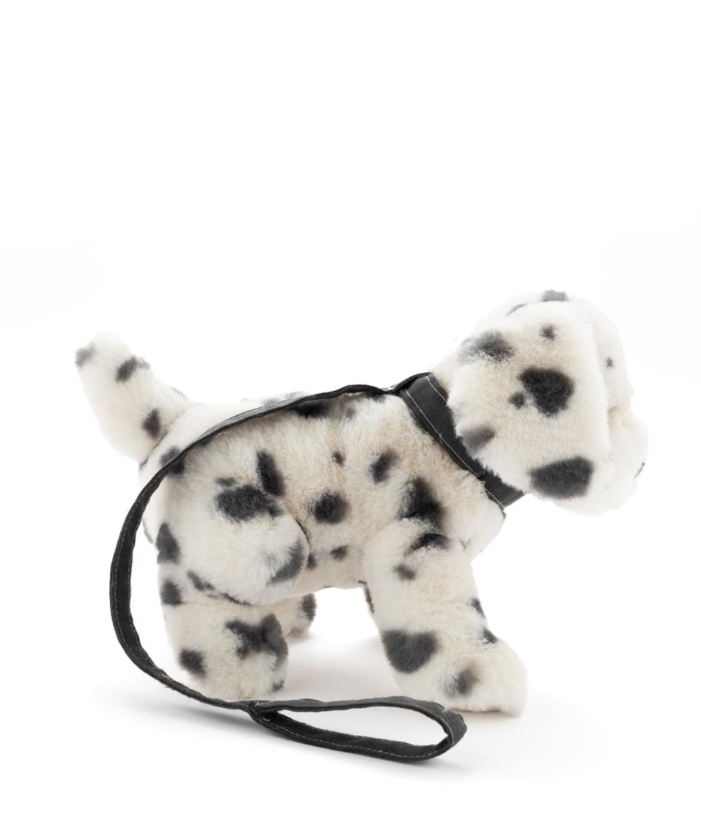 Debbie the Dalmation