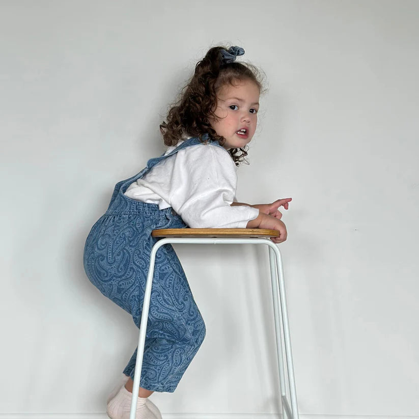 Wolf Denim Overalls