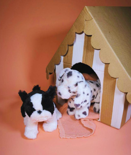 Debbie the Dalmation