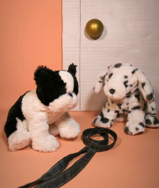 Debbie the Dalmation