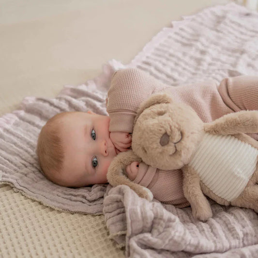 Milo (brown) - Heartbeat comforter