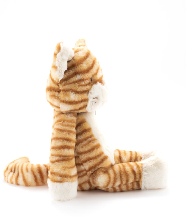 Ginger the Cat