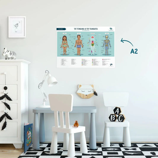 Te Reo Māori Human Body A2 Poster