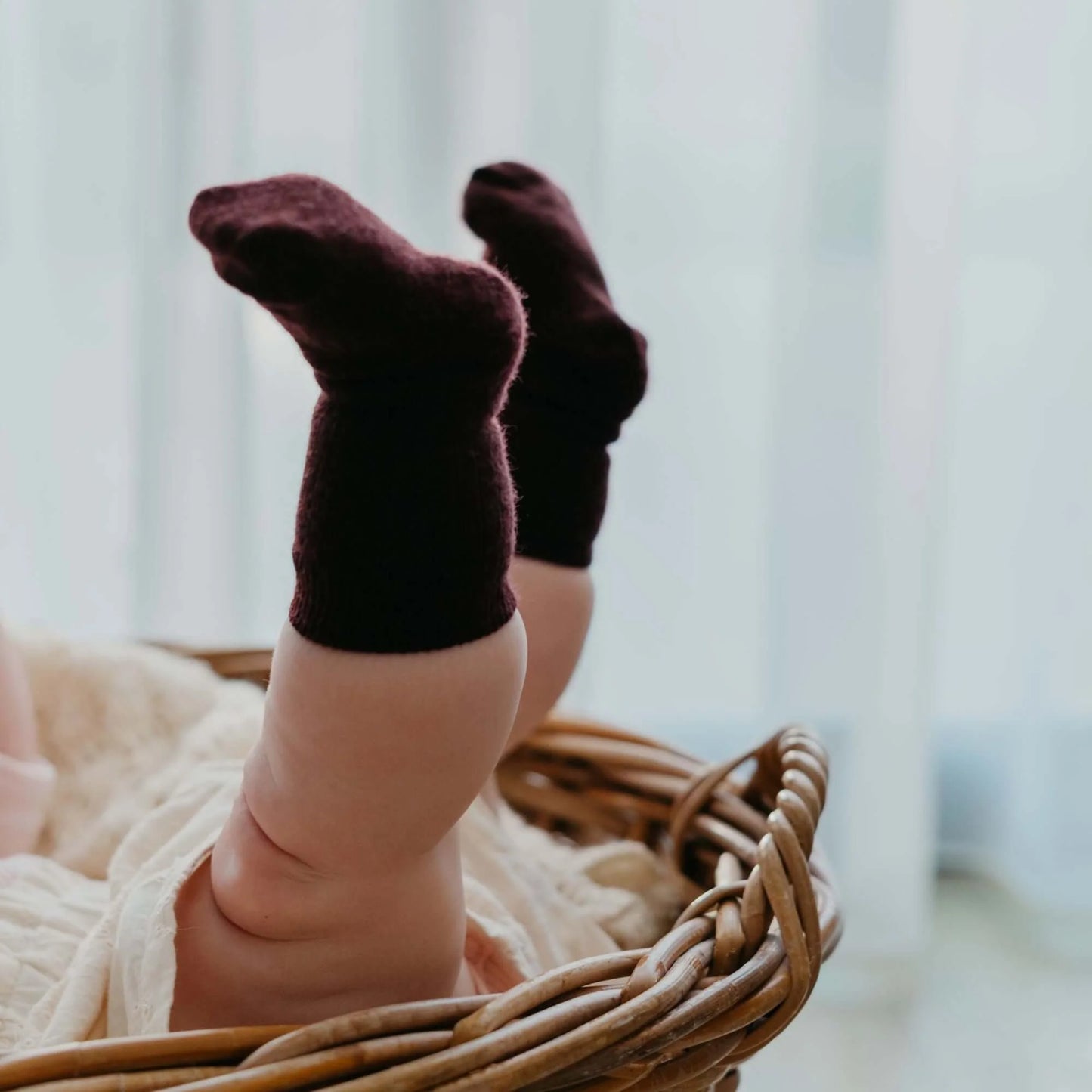 Merino Wool Crew Socks - Fig