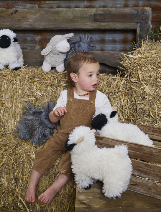 Aiden the Angora Goat