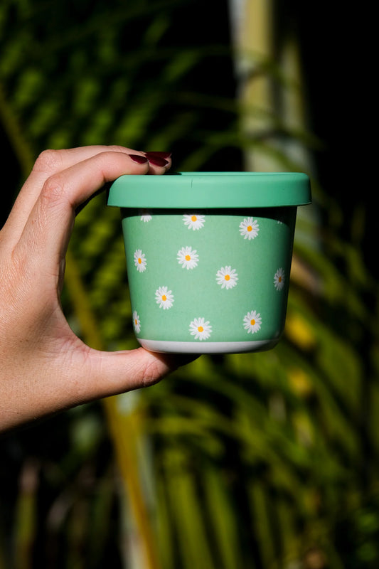 Snack Pot - Daisy Green (220ml)