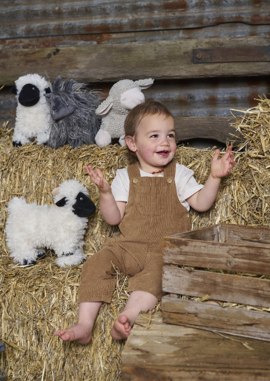 Valentina the Valais Sheep