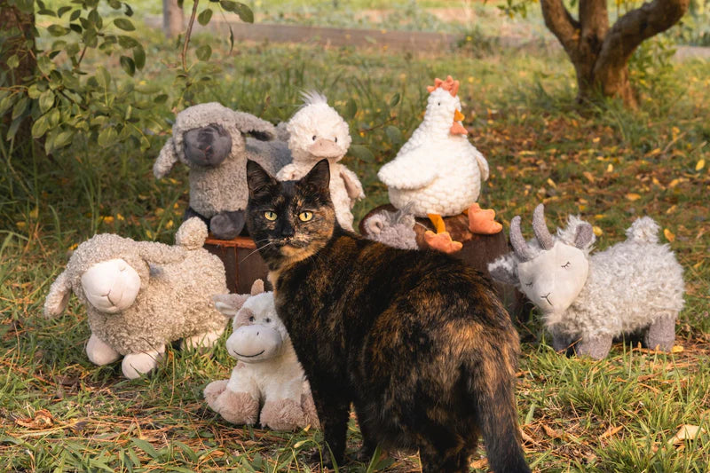 Lucy Lamb Cream