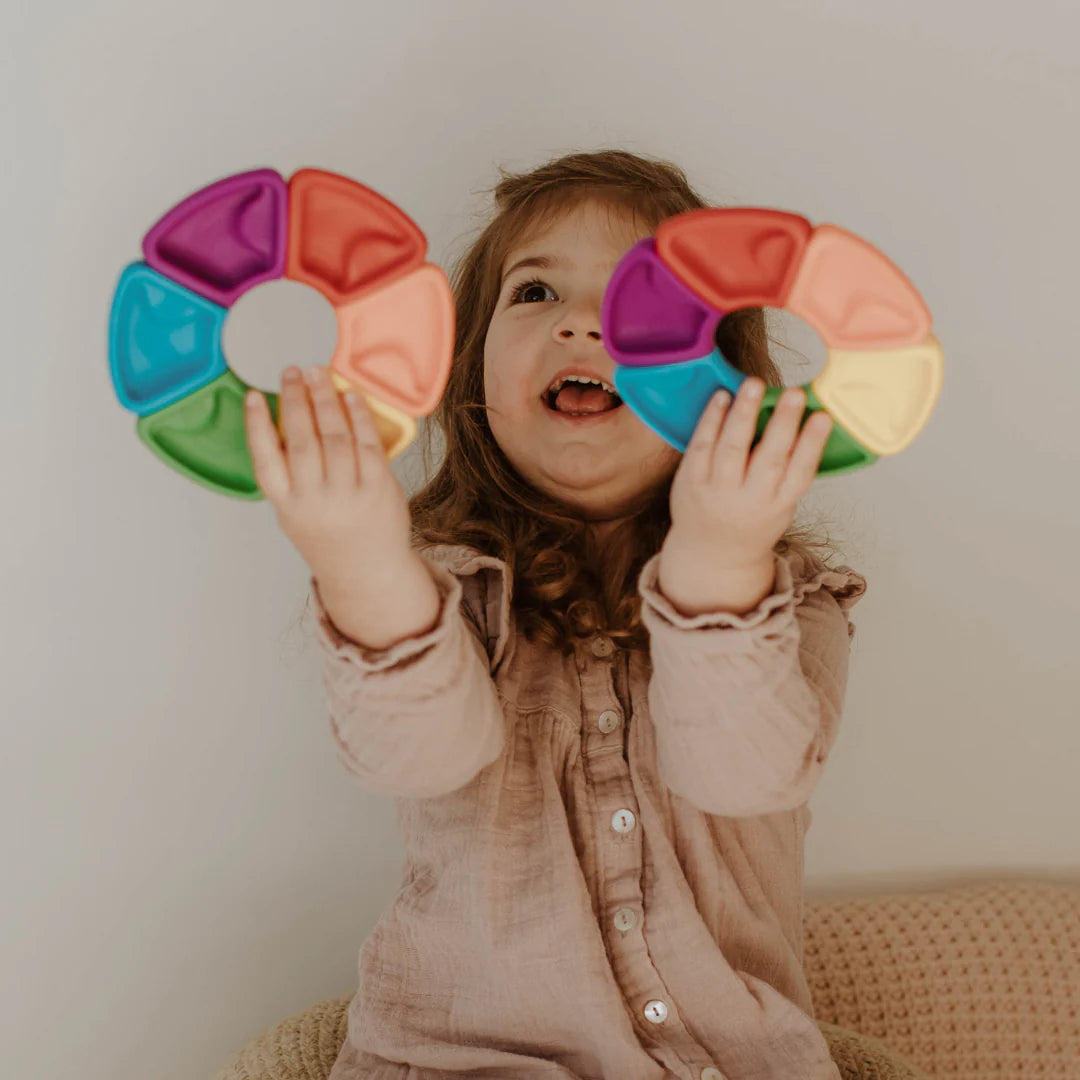 Colour Wheel - Rainbow
