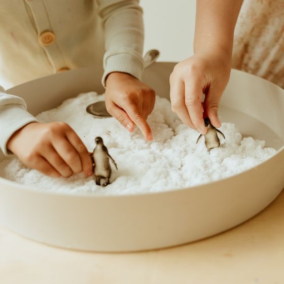 Sensory Snow
