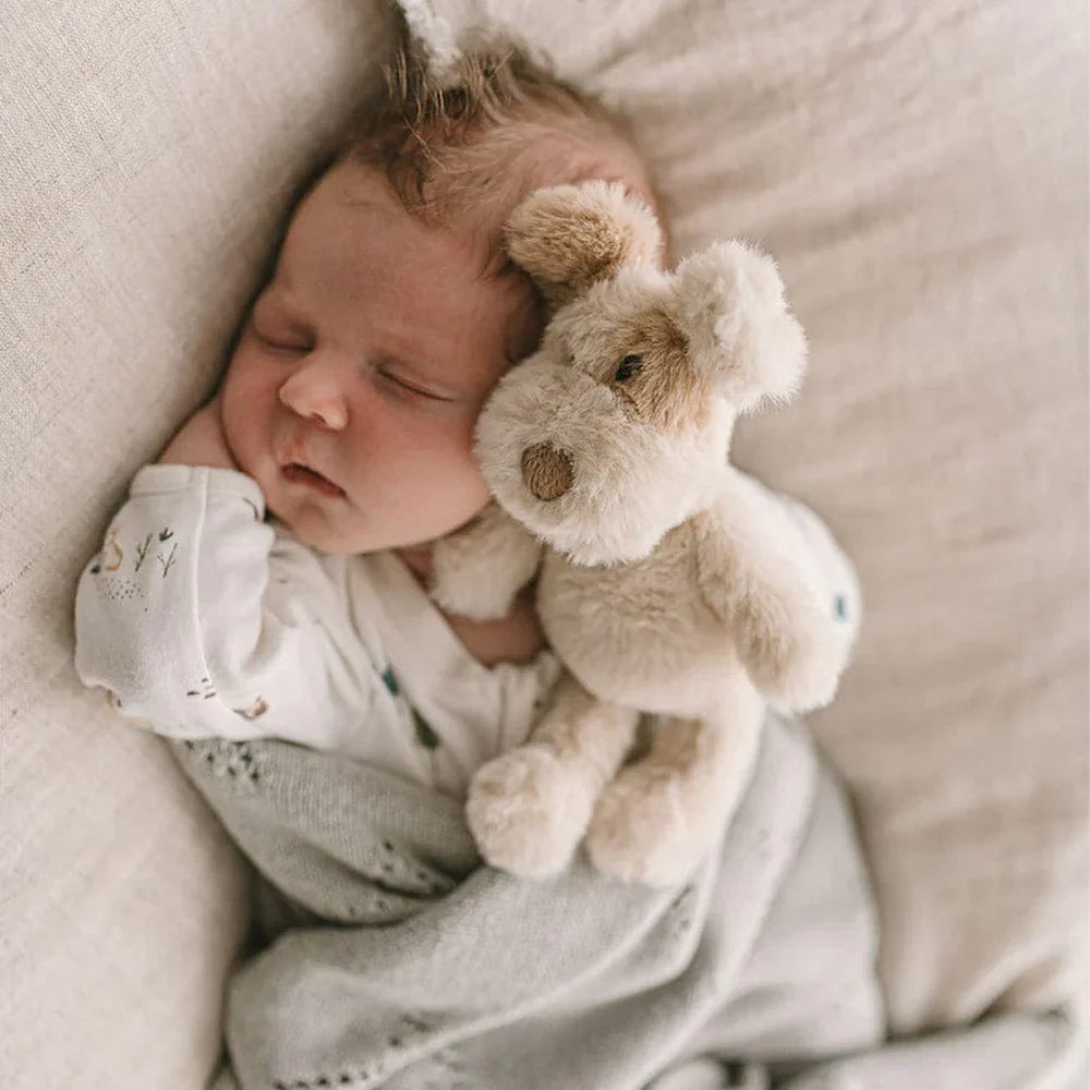 Mini Buddy the Dog Rattle