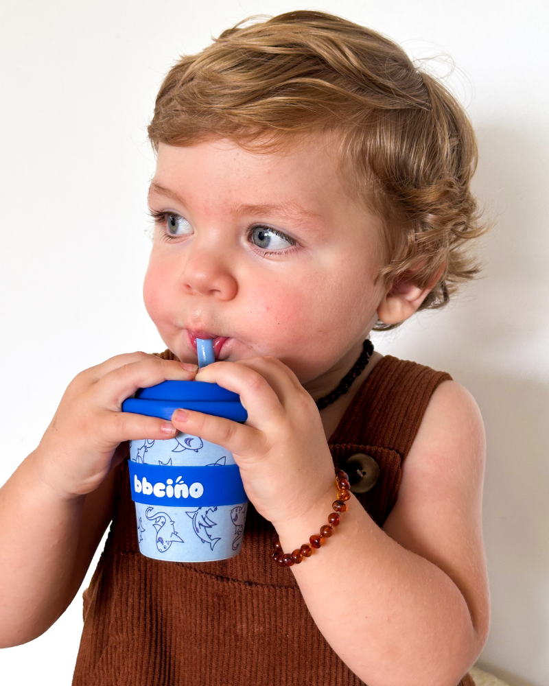 BBCino Cup - Shark