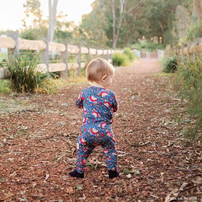 Bamboo Bootysuit | Paddington Baby (Long)