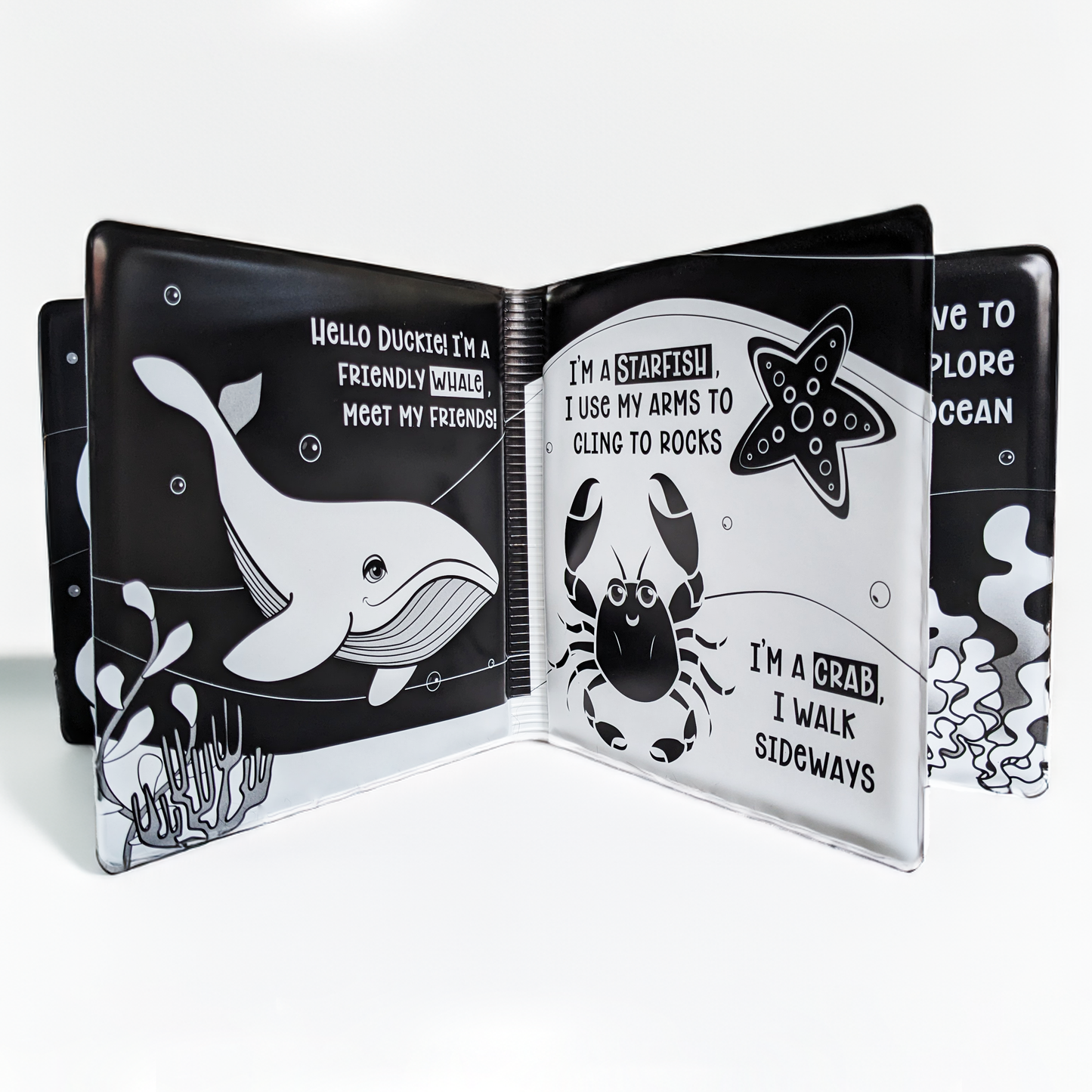Duckie Goes On An Adventure Black and White Bath Book