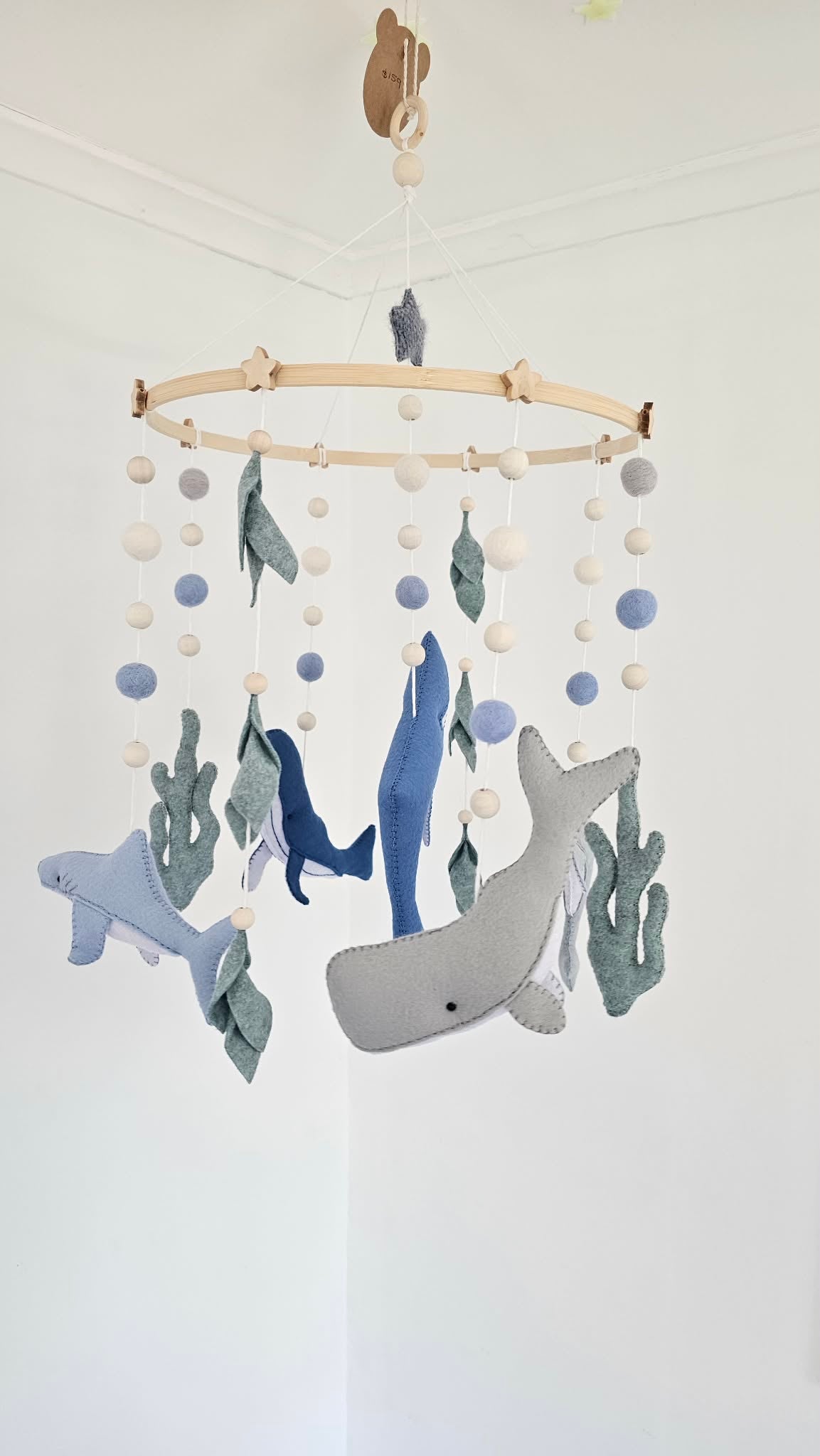 Ocean Mobile