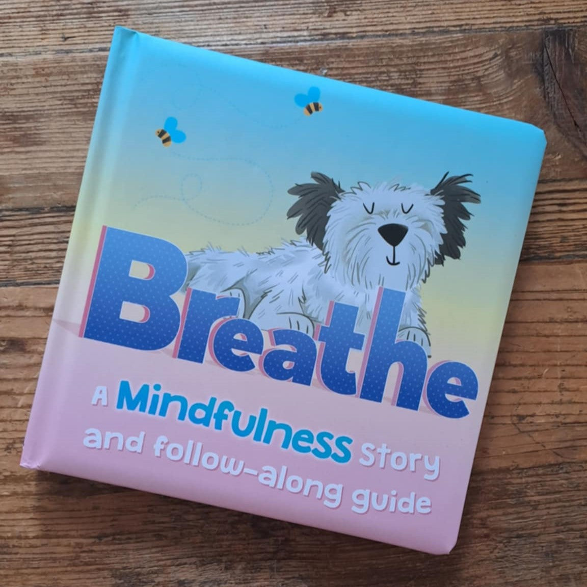 Breathe: A Mindfulness Story and follow-along guide