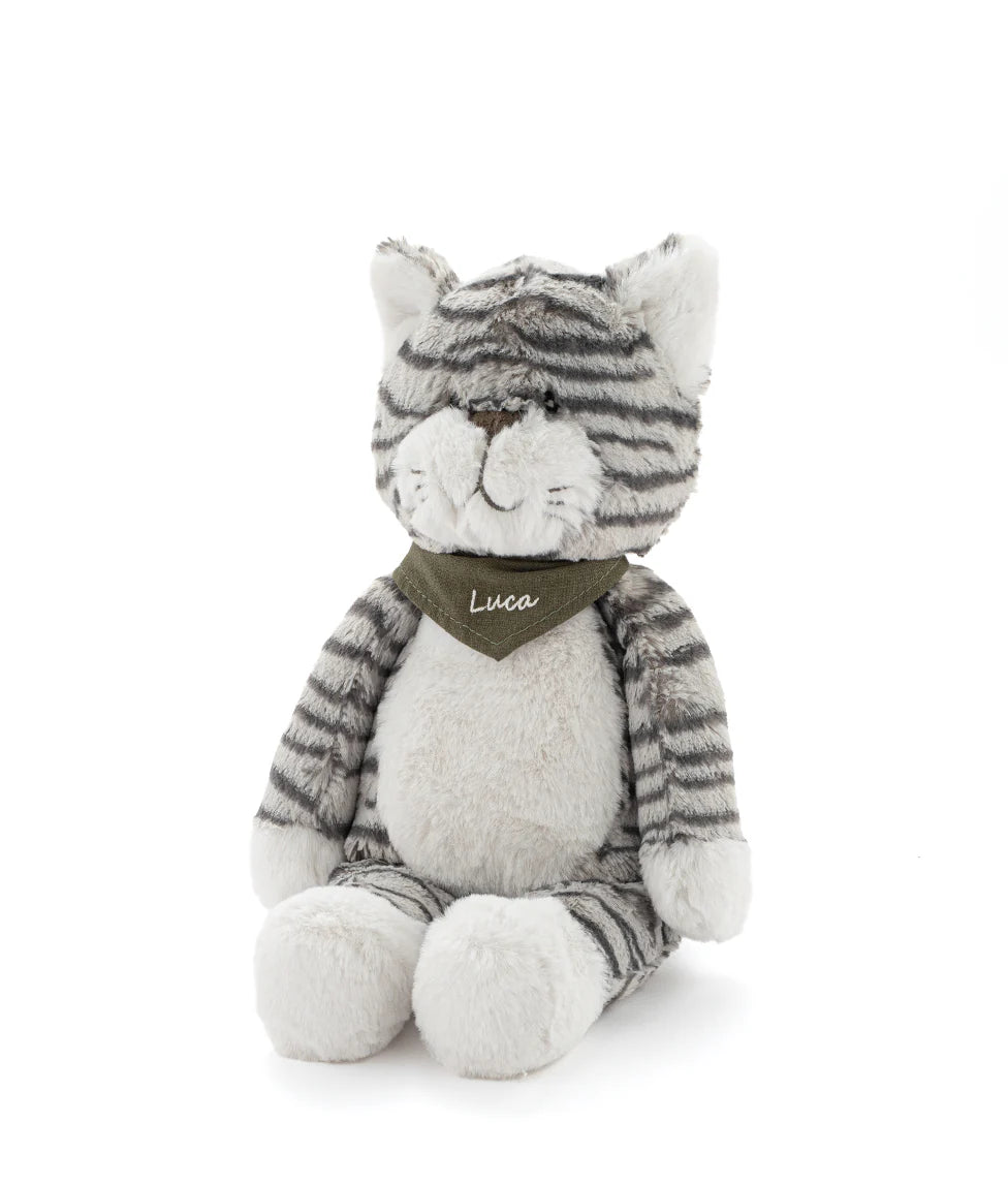 Chloe the Cat