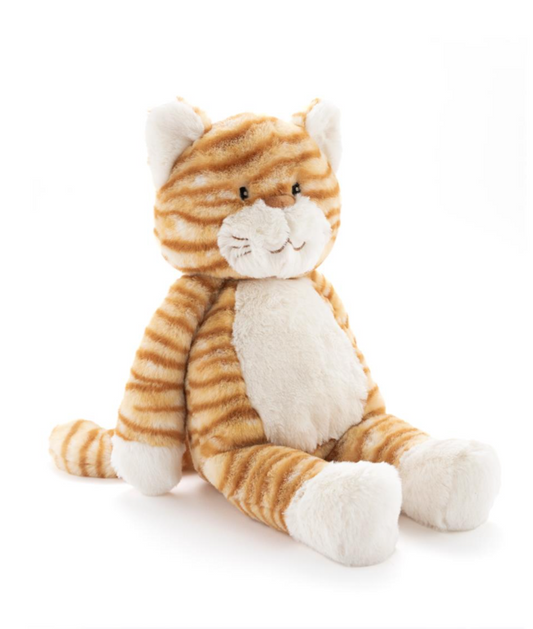 Ginger the Cat