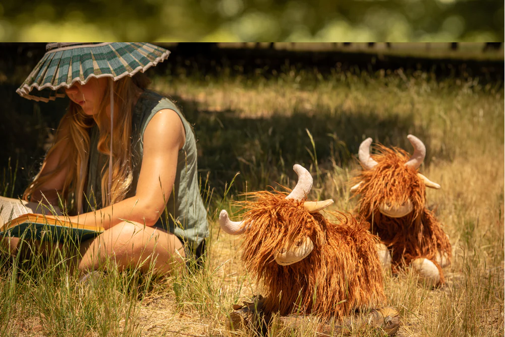 Heidi the Highland Cow