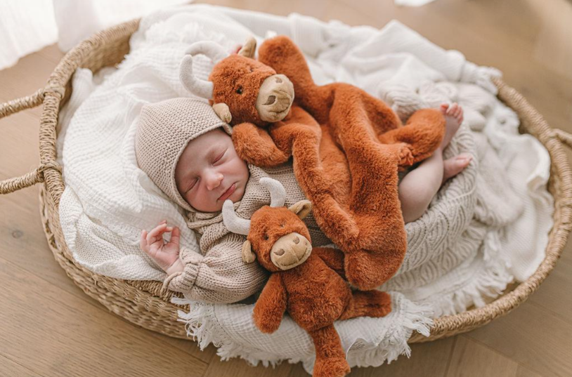 Henry the Highland Cow Rattle