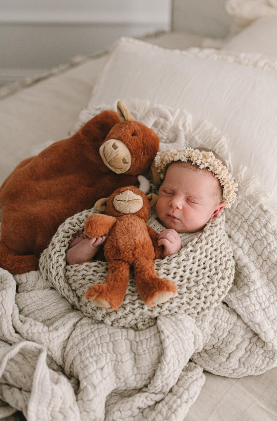 Henry the Highland Cow Rattle