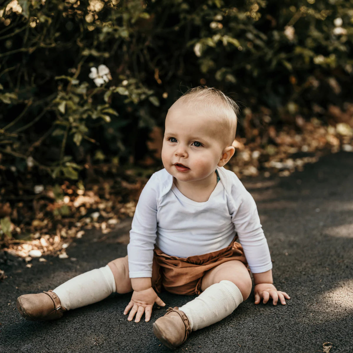 Merino Wool Knee High Socks - Owl