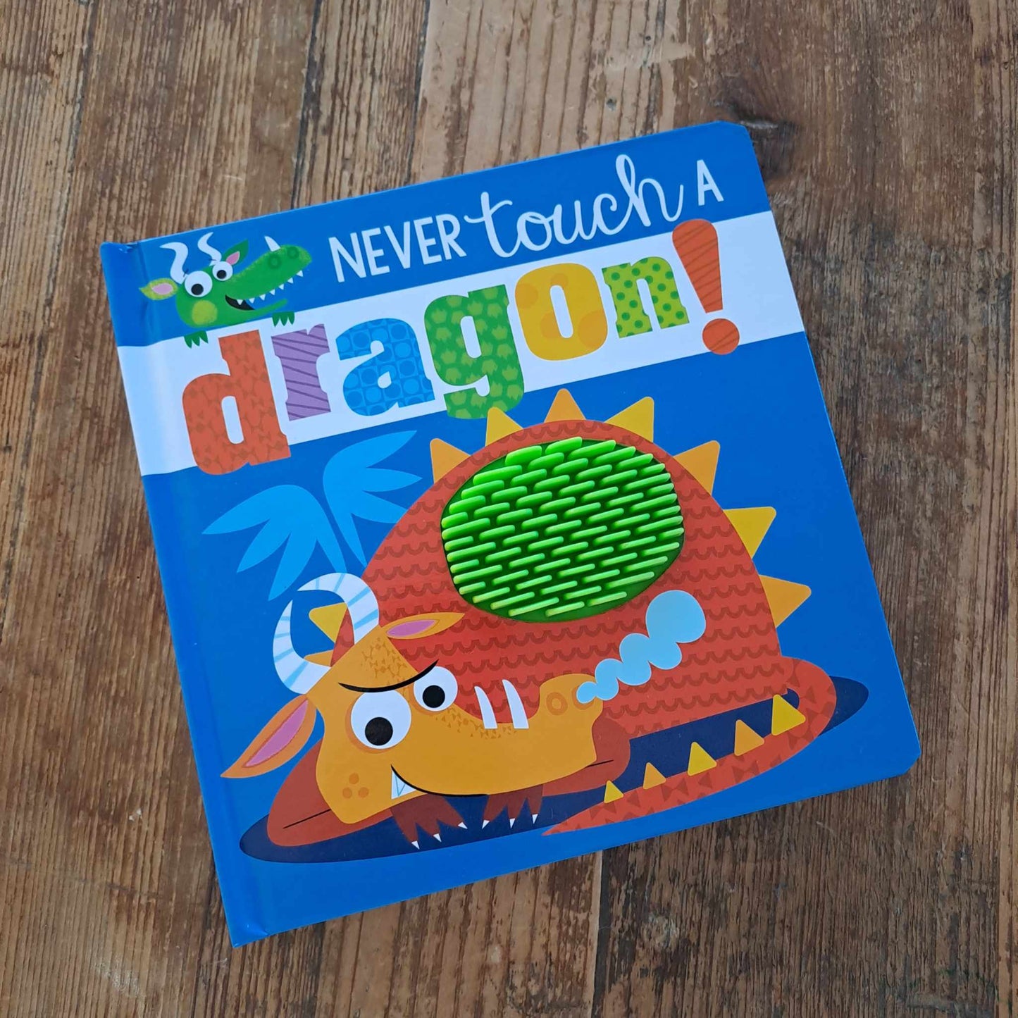 Never Touch a Dragon!