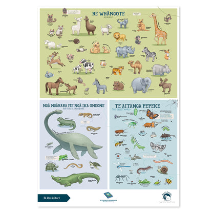 Te Reo Māori Animals A2 Poster