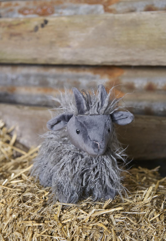 Aiden the Angora Goat