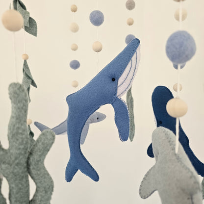 Ocean Mobile