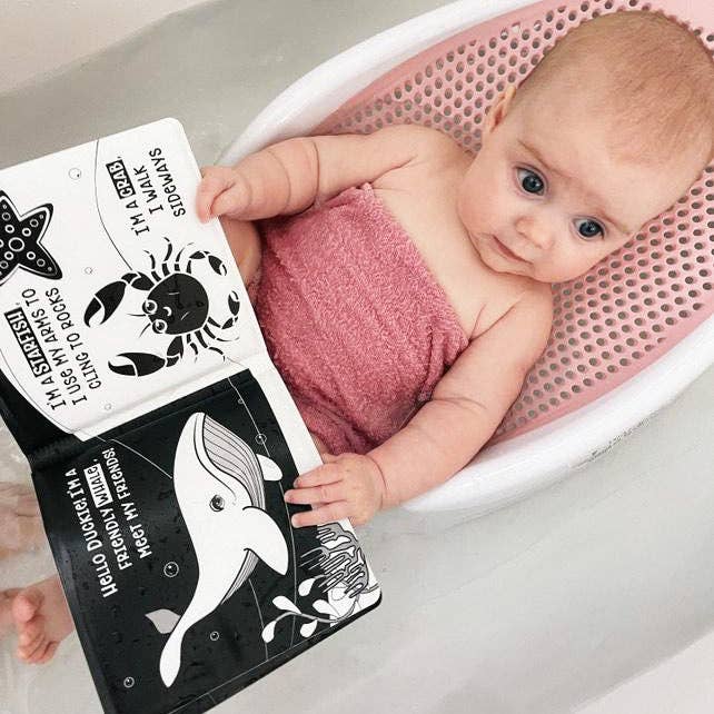 Duckie Goes On An Adventure Black and White Bath Book