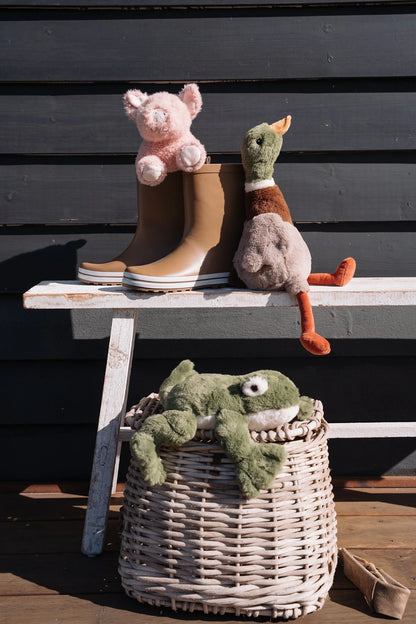 Hugo the Mallard Duck