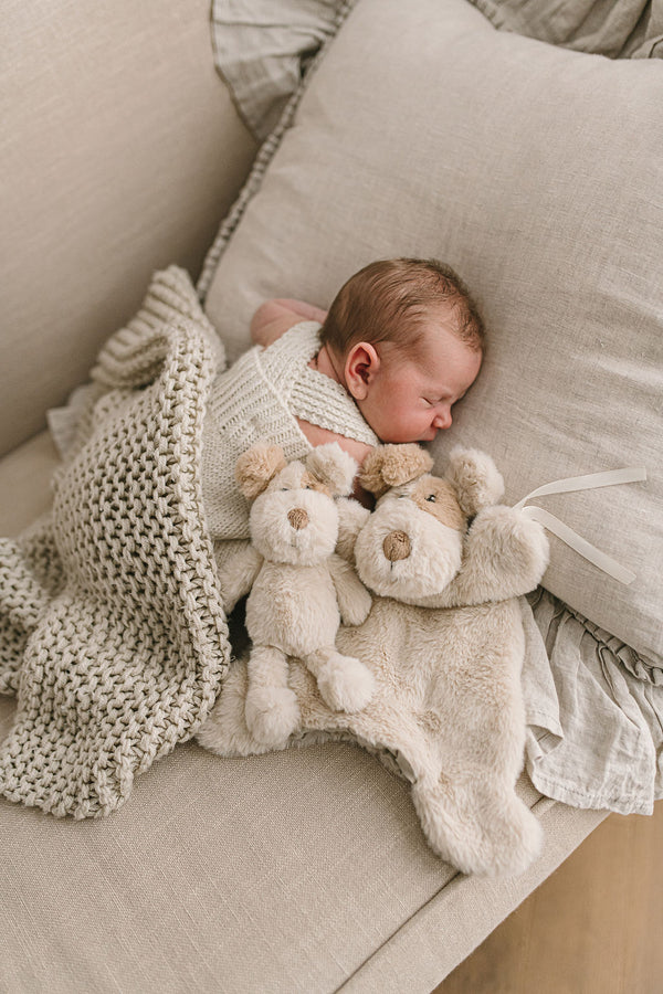 Mini Buddy the Dog Rattle