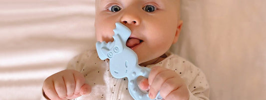 Moose Teether - Blue