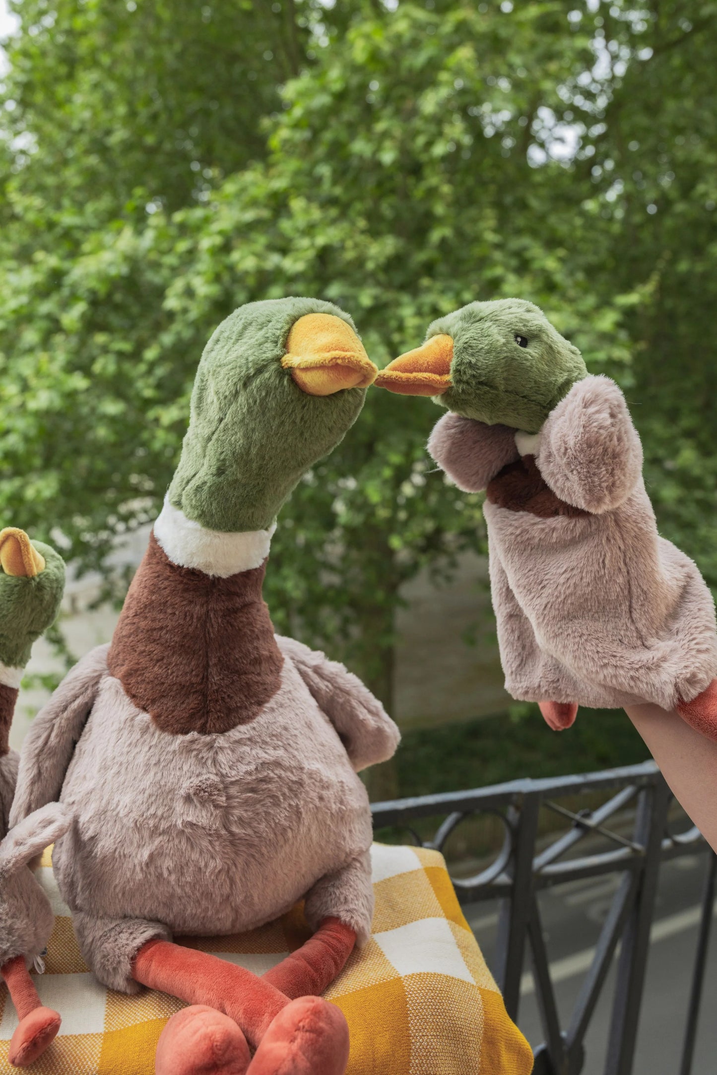 Big Hugo the Mallard Duck