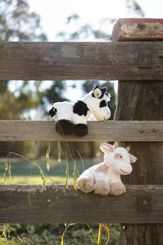 Coco the Cow - Black